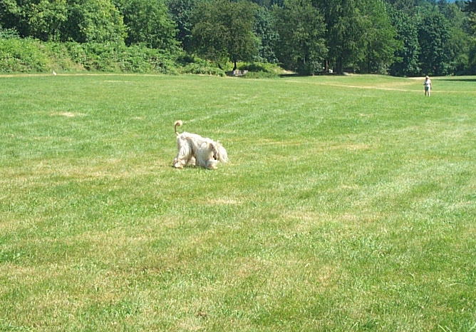 Jordan get the Bunny.jpg (161616 bytes)