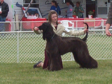 Miranda & Jr Handler 2.jpg (151242 bytes)